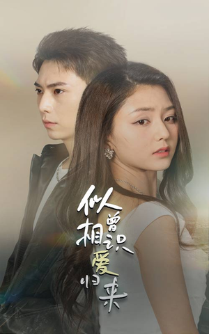 《似曾相识爱归来》（77集）短剧精彩剧情在线追不停