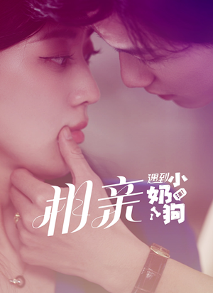 相亲遇到小奶狗（80集）热门短剧榜单