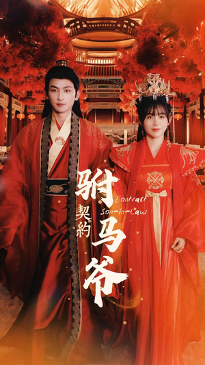《契约驸马爷》（74集）免费短剧在线看超带感