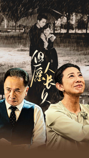 《但愿人长久》（80集）短剧精彩剧情一追到底