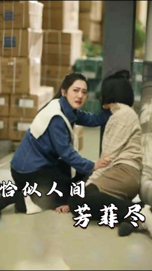 《恰似人间芳菲尽》（68集）热门短剧全集免费连看