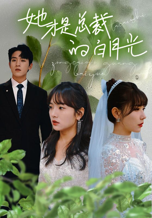 《她才是总裁的白月光》（90集）在线短剧畅快追不停