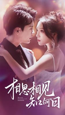 《相思相见知何日》（81集）在线短剧免费追剧到底
