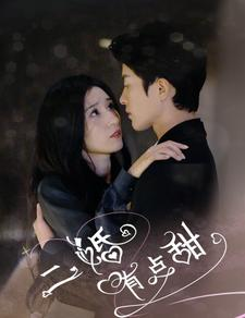 《二婚有点甜》（88集）短剧免费畅看全集无阻