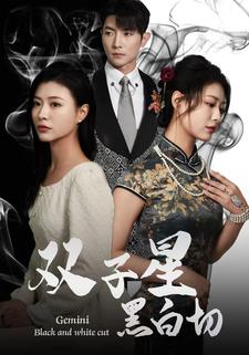 《双子星黑白切》（82集）追短剧全集享不停精彩