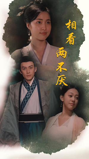 《相看两不厌》（85集）短剧免费全集一次追