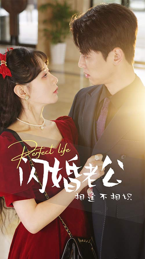《闪婚老公相逢不相识》（90集）免费畅看短剧完整版