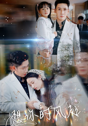 《想你时风起》（69集）免费在线短剧全集看尽