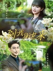 《到我身边来》（100集）畅享短剧完整剧情免费