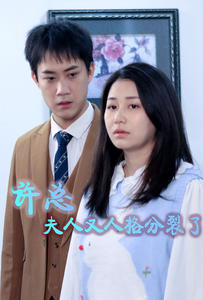 《许总，夫人又人格分裂了》（85集）免费短剧剧情全追完