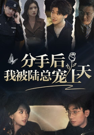 《分手后，我被陆总宠上天》（76集）短剧免费畅看全集