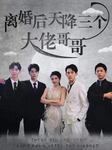 《离婚后天降三个大佬哥哥》（83集）短剧在线全集免费看