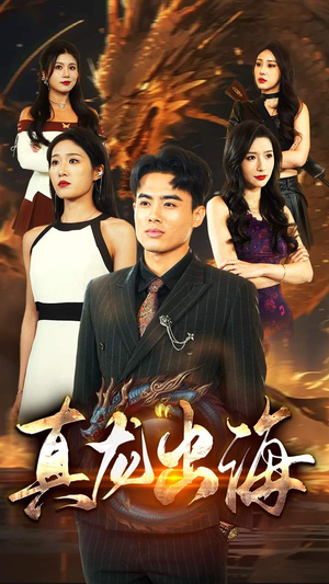 《真龙出海》（80集）在线短剧精彩剧情追不停