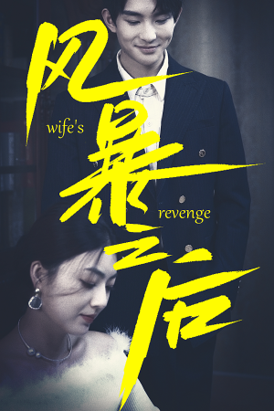 《风暴之后》（80集）在线短剧免费观看不停