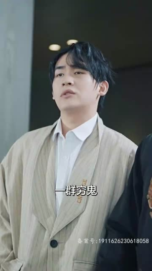 《巅峰神婿》（100集）免费短剧全集嗨看