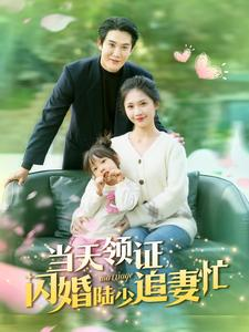 《当天领证闪婚陆少追妻忙》（80集）免费看短剧追到底