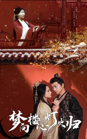 《梦向楼心灯火归》（37集）短剧完整版免费观