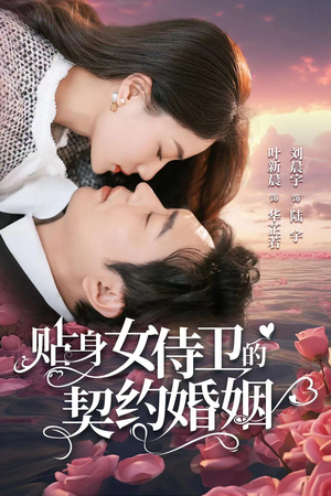 《贴身女侍卫的契约婚姻》（91集）在线看短剧全集不停