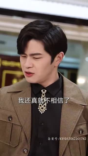 《踏雪》（96集）短剧免费看精彩不断