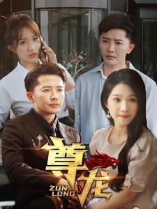 《新版：尊龙》（97集）超火短剧在线完整观看