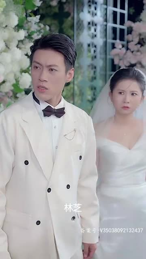 《再见前夫》（92集）免费看短剧完整版