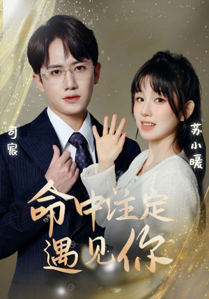 《命中注定遇见你》（96集）爆款短剧一集不落追完