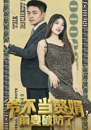 《爷不当赘婿，前妻破防了》（80集）短剧免费全集嗨看不停