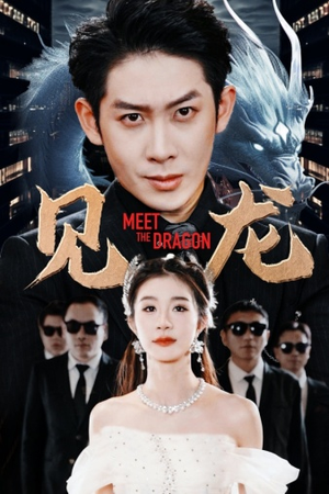 《见龙》（78集）免费短剧精彩全集追