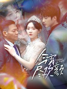 今宵尽欢颜(99集) 今宵尽欢颜(99集)常回家看看短剧