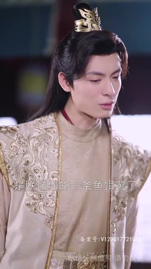 《风起萧墙》（78集）免费短剧全篇尽情看