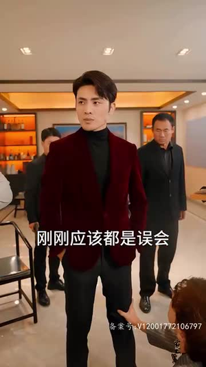 天尊崛起之都市风云(100集) 天尊崛起之都市风云(100集)完整版