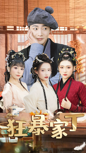 狂暴家丁$飞驰人生之超品家丁(90集) 狂暴家丁$飞驰人生之超品家丁(90集)全集我都看完了