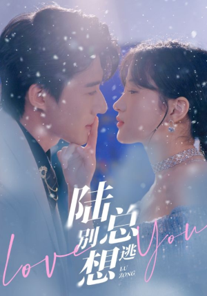 《陆总别想逃》（80集）短剧全剧情在线观赏