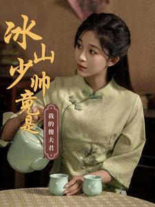 《冰山少帅竟是我的傻夫君》（86集）免费看短剧全集过瘾