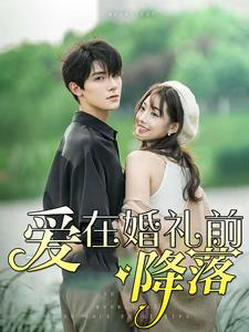 《爱在婚礼前降落》（50集）热门短剧全集免费来看