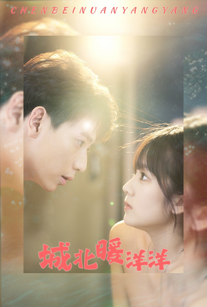 《城北暖洋洋》（60集）短剧全集畅享在线看
