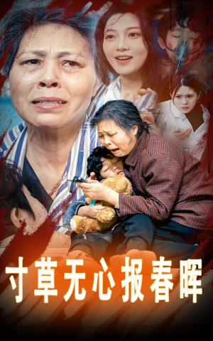 《孝子慈孙》（31集）短剧全集免费在线畅看