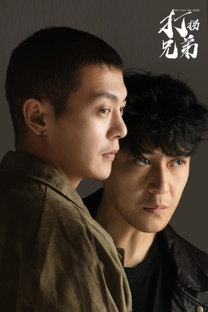 《打拐兄弟》（30集）免费短剧畅快追到底