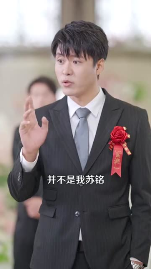 《彩礼谈崩后继承万亿家产》（100集）爆款短剧免费全集看