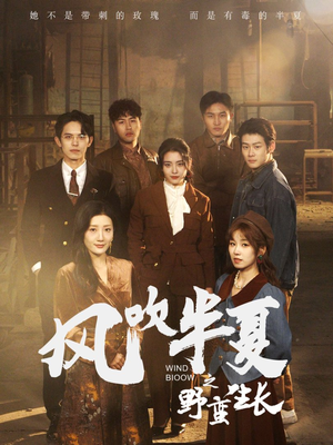《风吹半夏之野蛮生长》（59集）短剧免费全集追不停