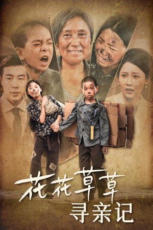 《花花草草寻亲记》（42集）看短剧全集乐在其中