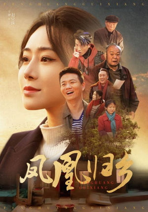 《凤凰归乡》（33集）免费短剧全集畅快追