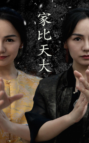 《家比天大》（63集）精彩短剧在线畅看