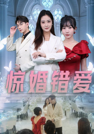 惊婚错爱(30集) 惊婚错爱(30集)在线看免费版