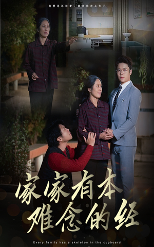 《家家有本难念的经》（34集）热门短剧一集接一集追看