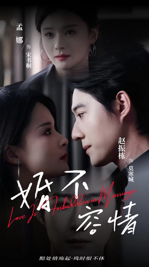 《婚不容情》（89集）短剧爆款剧情一追到底