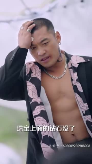 《龙争虎斗》（86集）短剧全集免费畅快追