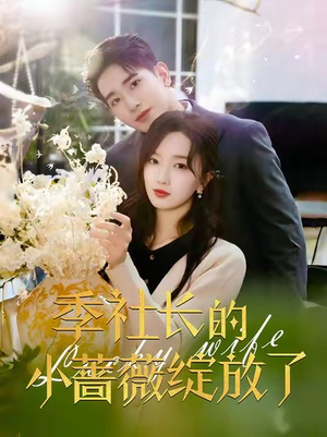 《季社长的小蔷薇绽放了》（60集）一口气追完短剧超爽