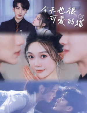 《今天也很可爱的猫》（72集）在线看短剧全集欢乐无限