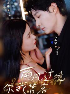 《南风国境你我皆客》（80集）免费在线短剧看全集超爽